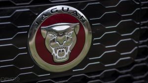Bővítheti SUV kínálatát a Jaguar